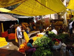 加尔各答农贸市场
