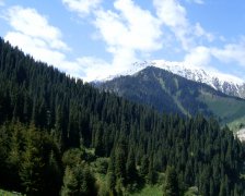 哈萨克斯坦山脉和森林