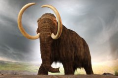 冰河时代的巨兽-猛犸象