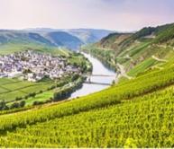 mosel1