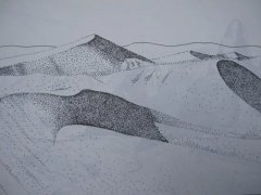 新月型沙丘